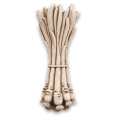 Italian Scallions_1266A商品イメージ01