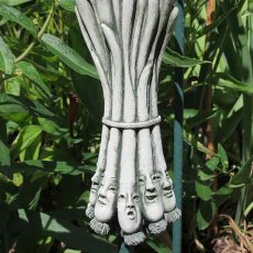 Italian Scallions_1266A商品イメージ02