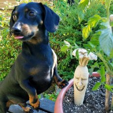 Bunny Bait_1051A商品イメージ03