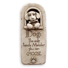 Family Dog_1089A商品イメージ01