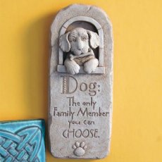 Family Dog_1089A商品イメージ02