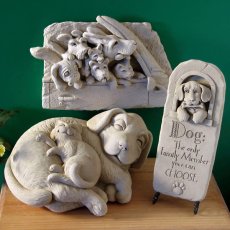 Family Dog_1089A商品イメージ03