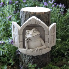 Froggie Dreams_1001A商品イメージ04