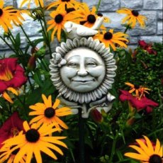 Sunflower Morning_1139A商品イメージ04