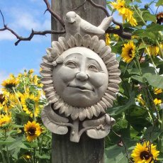 Sunflower Morning_1139A商品イメージ05