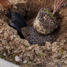 バイオゴールド クラシック元肥 200g / 3.2kg / 5.0kg 商品イメージ04