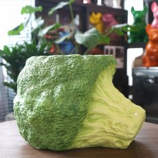 ブロッコリーポット Lサイズ商品イメージ01