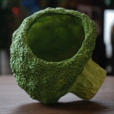 ブロッコリーポット Mサイズ商品イメージ02