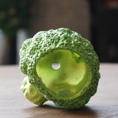 ブロッコリーポット Sサイズ商品イメージ02
