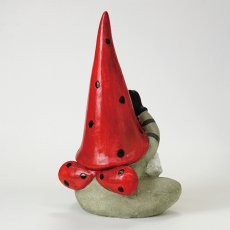 ガーデンノーム ヨガノーム レッドハット商品イメージ07