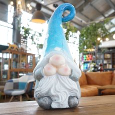 ガーデンノーム 言わざるノーム グラデハット商品イメージ02