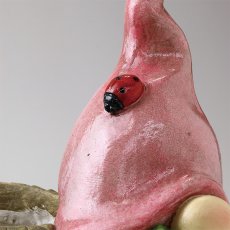 ガーデンノーム バスケットとノーム テントウムシハット商品イメージ10