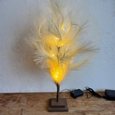 ブランチツリー パンパス 60cm商品イメージ01