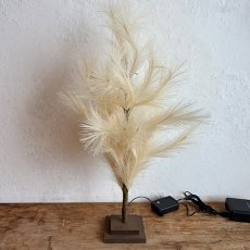 ブランチツリー パンパス 60cm商品イメージ02