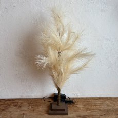 ブランチツリー パンパス 60cm商品イメージ03