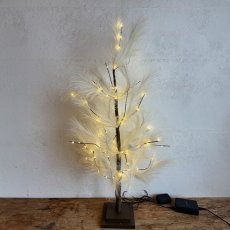 ブランチツリー パンパス 90cm商品イメージ01